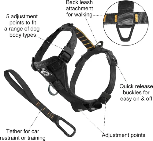 Miniatura 2 de Kurgo Tru-Fit - Arnés inteligente para caminar para perros, ajuste cómodo, arnés ajustable, reflectante para mascotas, liberación rápida