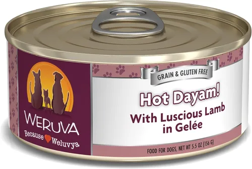 Weruva Comida clásica para perros, Hot Dayam! con cordero en gelée, lata de 5.5 onzas (paquete de 24)