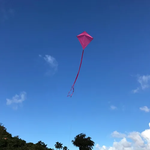 Miniatura 3 de In the Breeze Cometa de diamante de color sólido, 30 pulgadas Rosado