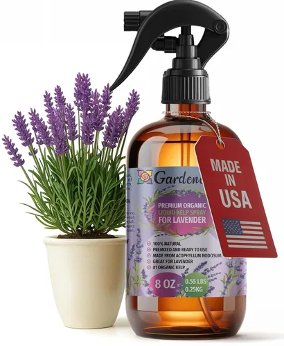 Miniatura 14 de GARDENERA Spray orgánico profesional de algas marinas para plantas AGLAONEMA – 8 oz – Rocío fertilizante de algas marinas y algas marinas totalmente