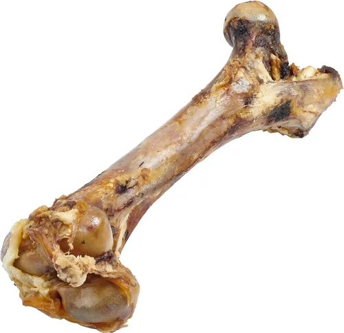 Miniatura 2 de EcoKind Hueso de fémur gigante para perros 1 hueso Huesos de perro de mamut de larga duración para masticadores agresivos, golosinas saludables