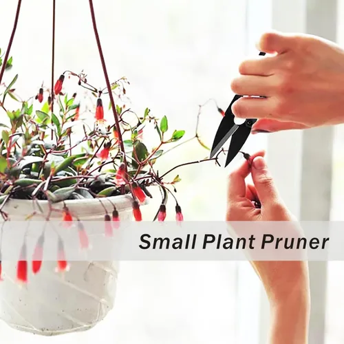 Miniatura 2 de Tijeras de podar bonsái, 12 unidades, pequeñas tijeras de podar brotes y hojas, tijeras de jardín para plantas, cortadoras de jardinería