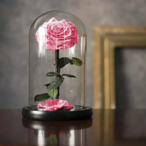 Miniatura 7 de Rosa Preservada para Siempre – Rosa Eterna en Cúpula de Cristal – Rosa de la Bella y la Bestia para Mamá – Flores Frescas para Entrega Prime