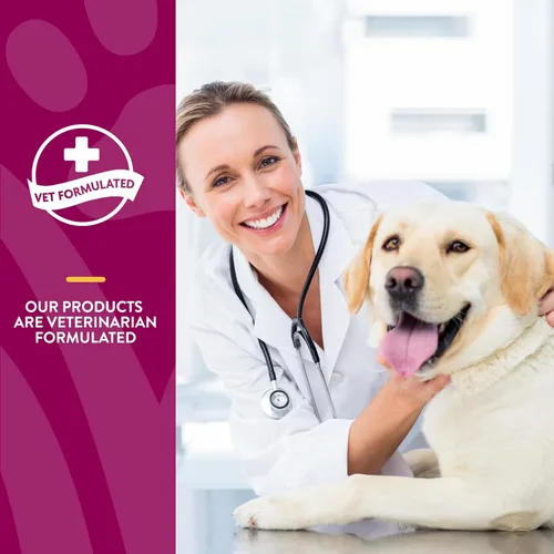 Miniatura 6 de NaturVet Glucosamina DS - Cuidado de mantenimiento de nivel 1 Cuidado preventivo para mantener el cartílago saludable y la función articular
