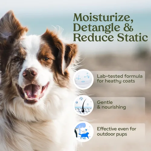 Miniatura 2 de PAWFUME - Perfume en aerosol para perros para aseo, cinta azul, paquete de 1 – Mantén a tu cachorro fresco todo el día – Probiótico, sin alcohol