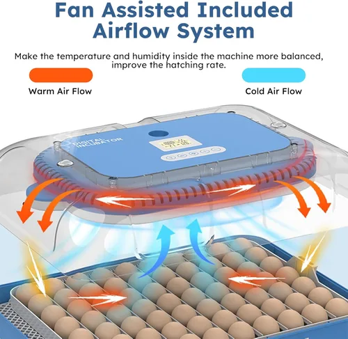 Miniatura 7 de Incubadora de huevos para incubar 70 huevos de pollo, pato, codorniz y ganso - Girador automático de huevos, control de humedad y temperatura, vela