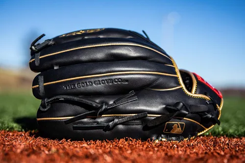 Miniatura 11 de Rawlings Guantes de béisbol de la serie R9 Tamaños 11.5 a 13 pulgadas Múltiples estilos Pro H-Web Negro/Oro