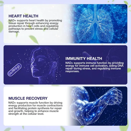 Miniatura 5 de NAD Supplement - NAD Nicotinamide Riboside Resveratrol 900mg, NAD Resveratrol Supplement with Nicotinamide Riboside, NAD Plus 900mg Support Healthy