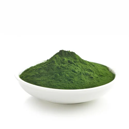 Miniatura 4 de Yupik Chlorella Polvo 8.8 oz, Superfood, Kosher, sin gluten, rico en clorofila, antioxidantes, proteínas, hierro, desintoxicante de metales pesados