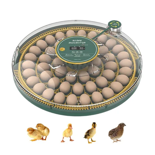 Miniatura 10 de HOWOOlUA Incubadora de 12 huevos para incubar huevos con giro automático, control de temperatura y humedad, incubadora de gran capacidad