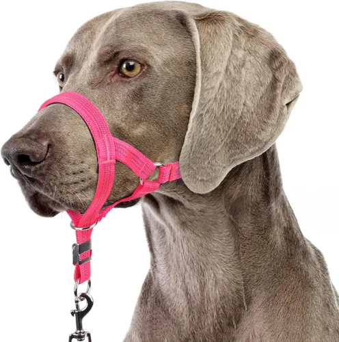 Miniatura 13 de BARKLESS Collar resistente sin tirones para perros medianos y grandes, suave y reflectante con enlace de seguridad, correa de bozal de entrenamiento