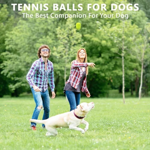 Miniatura 7 de Pelotas de tenis, paquete de 18 pelotas de entrenamiento con bolsa de malla para un fácil transporte, pelotas de práctica para perros y mascotas, 9