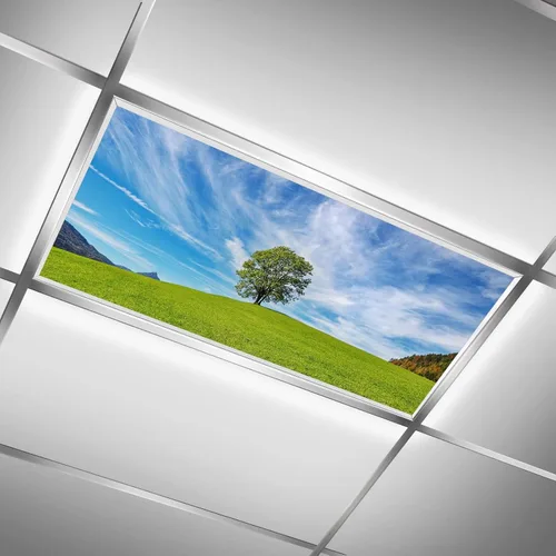 Miniatura 23 de Inserto de Cubierta de Luz de Techo Suspendido 4' x 2' pies (Naturaleza Bosque Hojas de Bambú Sol Verde) - Cubierta de Luz Fluorescente Reduce