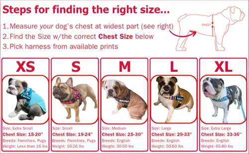 Miniatura 4 de BULLHUG Arnés ajustable para perro, sin tirones, sin estrangulamiento, para bulldogs ingleses, bulldogs franceses, pugs y razas de pecho ancho, Negro