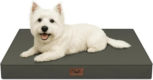 Miniatura 16 de Cama ortopédica de felpa para perros y cachorros medianos, camas impermeables para perros de 30 x 20 pulgadas con funda extraíble lavable, tapete