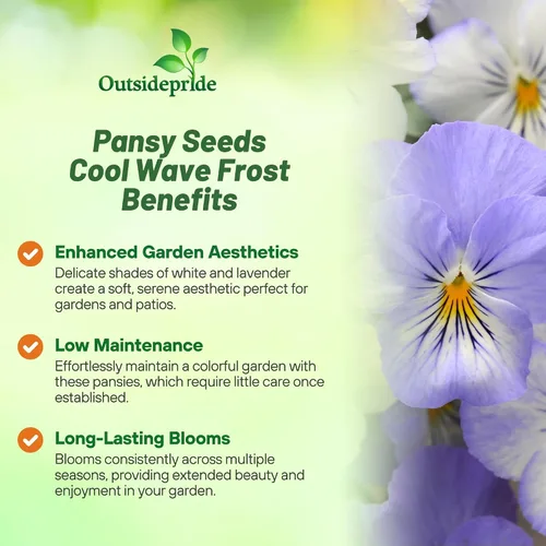 Miniatura 3 de Outsidepride Cool Wave Frost Viola - Semillas de pensamiento para plantar, 15 piezas. Flores biennales, para propagar, resistentes al frío y aptas