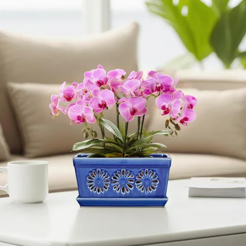 Miniatura 6 de EFISPSS Maceta de orquídea de 10 pulgadas, macetas de cerámica para orquídeas con agujeros, macetas de interior con drenaje y platillo, macetas
