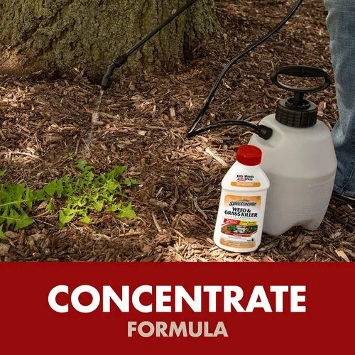 Miniatura 4 de Spectracide Concentrado para matar malezas y hierbas, 1 galón, uso en patios, pasarelas y calzadas