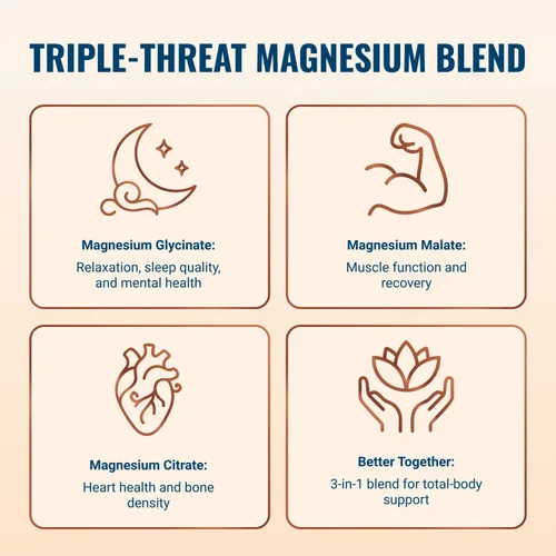 Miniatura 3 de Live Conscious Magwell Magnesio, Zinc y Vitamina D3 - Glicinato de magnesio, malato y citrato - Suplemento triple para mujeres y hombres