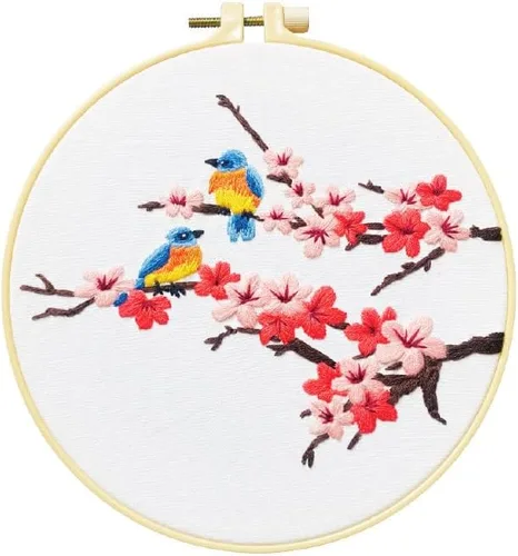 Kits de iniciación de bordado estampado para manualidades, pájaros y flores con patrón para principiantes, aros de tela, costura, arte de punto de