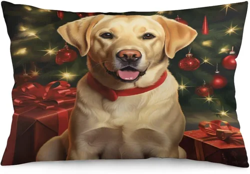 Miniatura 12 de Yellow Lab - Fundas de cojín de Navidad de 12 x 20 pulgadas, diseño de retrato de perro amarillo serio, labrador retriever, fundas de almohada