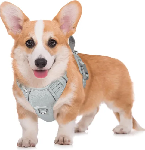 Miniatura 65 de BARKBAY Arnés para Perro Sin Tirones Talla Grande Arnés Reflectante para Perro con Clip Frontal y Asa de Control Fácil para Caminar Entrenar Correr