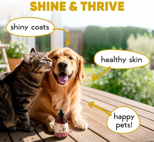 Miniatura 5 de ZENO Aceite de salmón salvaje de Alaska para perros y gatos, aceite de pescado puro para perros con Omega 3, suplementos de EPA y DHA para piel