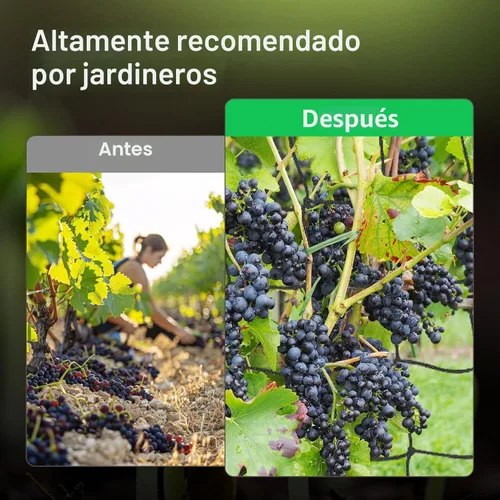 Miniatura 5 de VIVOSUN Red de Enrejado Elástica de 2 x 2 Pies con 4 Ganchos para Plantas Trepadoras, Vegetales, Frutas y Flores, Paquete de 1