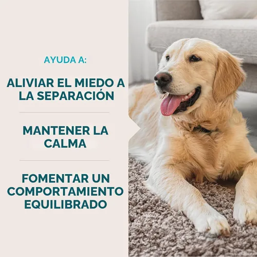 Miniatura 3 de VetIQ Suplemento calmante de apoyo para perros, masticables calmantes que ayudan a controlar el estrés y promover la relajación, alivio