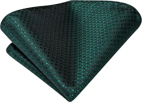 Miniatura 40 de Hi-Tie Corbata clásica de cachemira para hombre con pañuelo y gemelos a cuadros