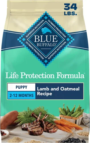 Blue Buffalo Life Protection Formula - Alimento seco para perros con DHA y ARA, apoya la inmunidad con brocas LifeSource ricos en antioxidantes,