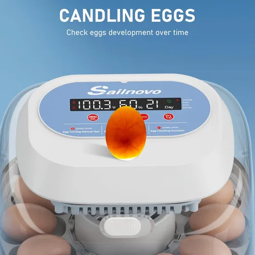 Miniatura 7 de Sailnovo 12 incubadoras de huevos para incubar huevos, incubadora de huevos con giro automático de huevos, control de temperatura, pantalla