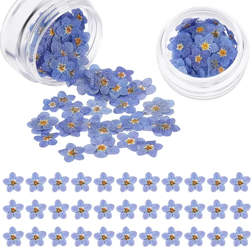 Miniatura 9 de Nuanchu Flores secas naturales "Don't Forget Me", flores secas prensadas reales para joyería, fabricación de velas, tarjetas, adornos de resina