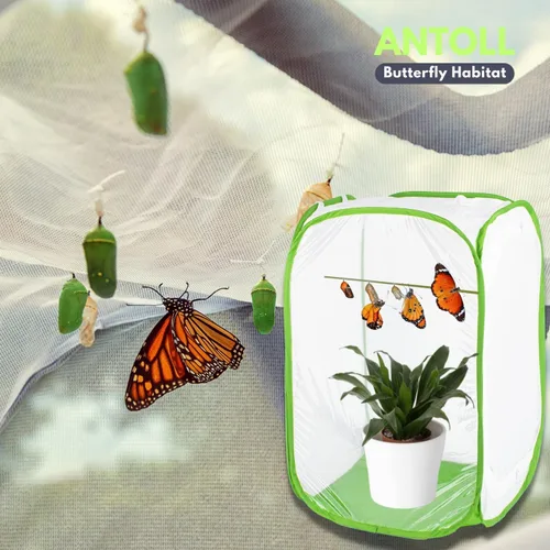 Miniatura 5 de Jaula de hábitat de gran tamaño, jaula de malla de insectos voladores de mariposa libélula, planta de observación al aire libre y terrario