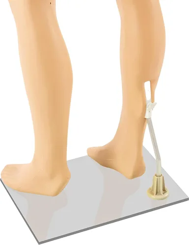 Miniatura 7 de Maniquí masculino de cuerpo completo de 72.8 pulgadas, modelo de cuerpo humano realista, maniquí de exhibición de estilo brasileño con brazos