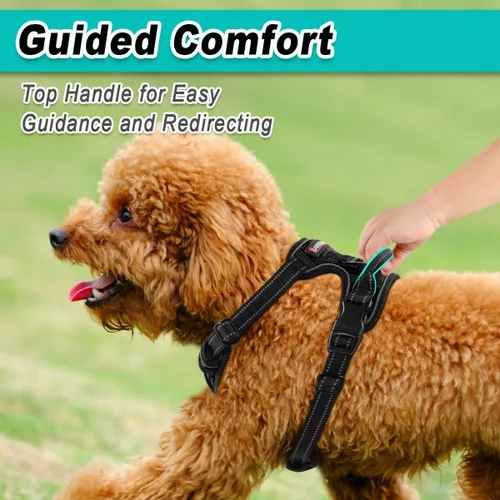Miniatura 4 de BARKBAY Arnés para perro sin tirones para perros pequeños, ajustable, reflectante, cómodo, sin estrangulamiento, resistente, perfecto