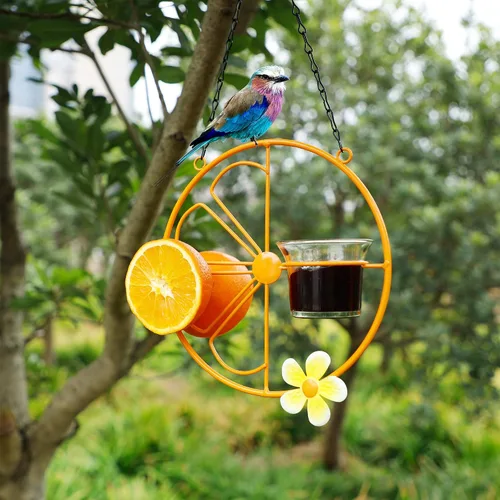 Miniatura 7 de FORUP Oriole - Comedero para pájaros para jalea y naranjas al aire libre, comedero para pájaros de jalea de Oriola de fruta naranja, para jardín al