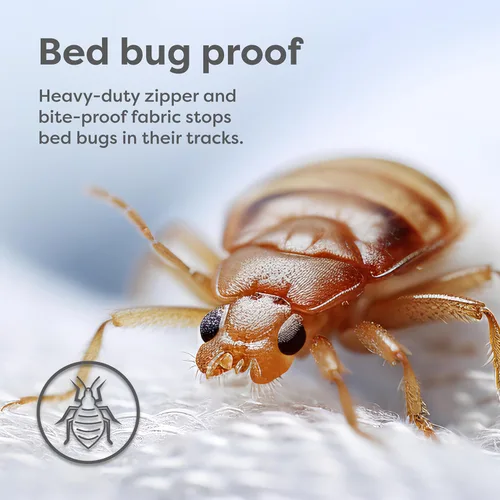 Miniatura 4 de El sistema de defensa para dormir original. Resistente al agua / chinches de cama / a prueba de polvo y ácaros. Recubrimiento de colchón con cierre