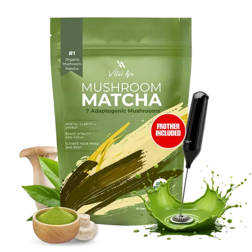 Miniatura 11 de Café en polvo orgánico de hongos con melena de león y 7 adaptógenos – Mejor energía, enfoque, inmunidad y salud intestinal – Mezcla de café