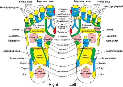 Miniatura 8 de Estera de masaje de pies,Esteras de acupresión para pies,Reflexología Walk Stone Road Foot Massage Black para aliviar el dolor