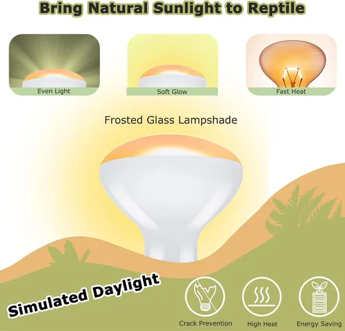 Miniatura 2 de Bombillas de lámpara de calor de reptiles de 60 W, luz de punto de calentamiento UVA de 2.5 pulgadas para dragón barbudo, lagarto, tortuga, pollitos
