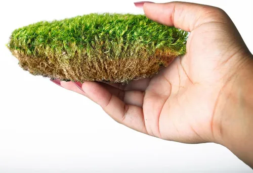 Miniatura 3 de SuperMoss (21539) Mood Moss preservado, bolsa de 200 pulgadas cúbicas (aprox. 8 onzas), verde fresco