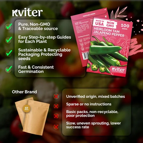 Miniatura 5 de KVITER 100 semillas de pimiento jalapeño Tam (Capsicum Annuum) para plantar – Especia suave, semillas autóctonas perfectas para rellenar, 1000-1500