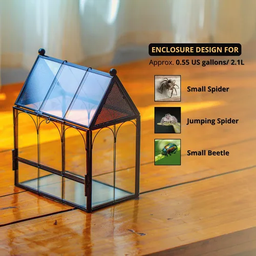 Miniatura 2 de NCYP Pequeño recinto de terrario de vidrio con malla para arañas saltadoras, plantas suculentas en forma de micro casa, terrario, decoración