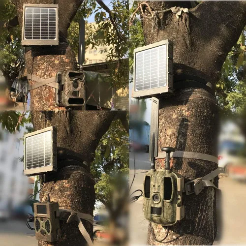 Miniatura 7 de Panel solar para cámara de sendero, WILDGAMEPLUS 14W 8000mAh 12V/1.2A 9V/1.6A 6V/2.4A IP66 Cargador recargable impermeable con cables para cámara