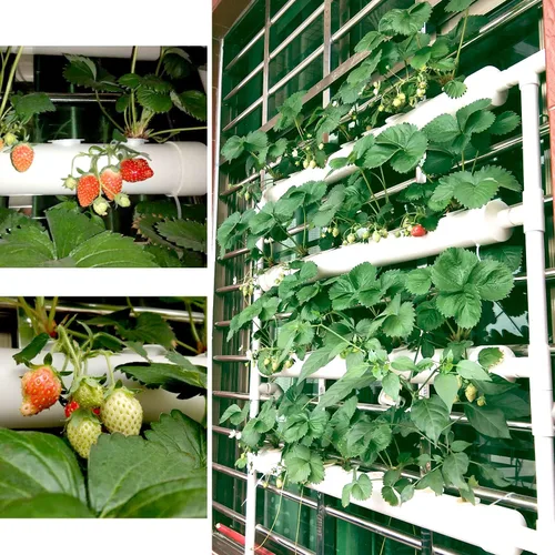 Miniatura 2 de Sistema de cultivo hidropónico NFT de 36 agujeros con ciclo especial de sincronización de fertilizantes, kit de plantas de jardín de tubería de PVC