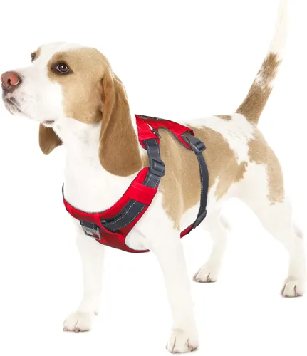Miniatura 18 de Outward Hound Boulder Adventure - Arnés ajustable para perro con bolsillos, turquesa, mediano