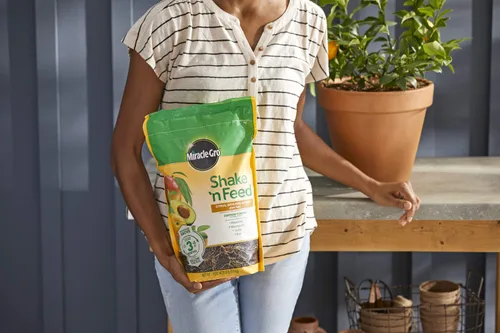 Miniatura 5 de Miracle-Gro 3002810 Shake 'N Feed - Fertilizante de liberación continua para plantas cítricas, aguacate y mango, 8 lbs.