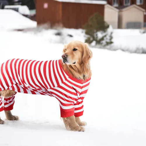 Miniatura 6 de Pijama para perros, pijamas para perros pequeños, pijamas de Navidad para perros, pijamas para perros y niñas, pijamas para perro, overol