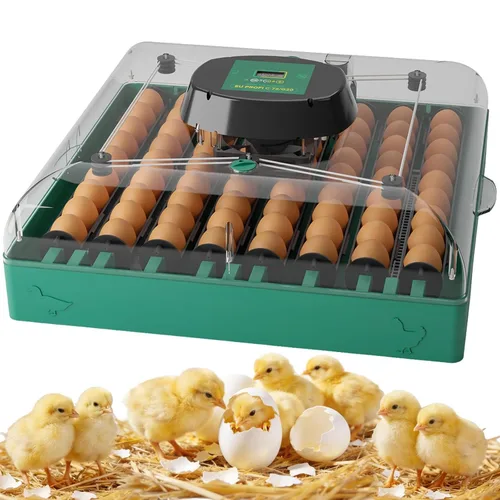 Incubadoras para incubar huevos, incubadora de 72 huevos con girador automático de huevos y control de humedad y temperatura digital, visión clara